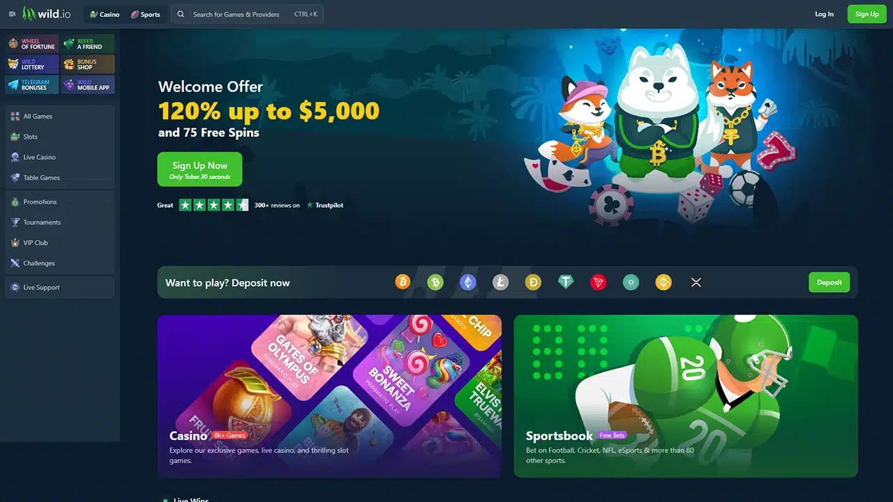 Wild.io crypto casino landing page