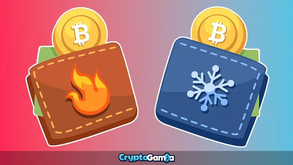 Crypto wallets types - How vs Cold