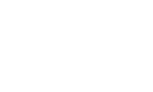 Stake crypto casino logo