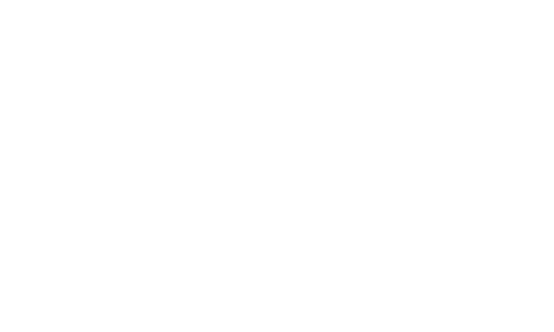 Stake crypto casino logo