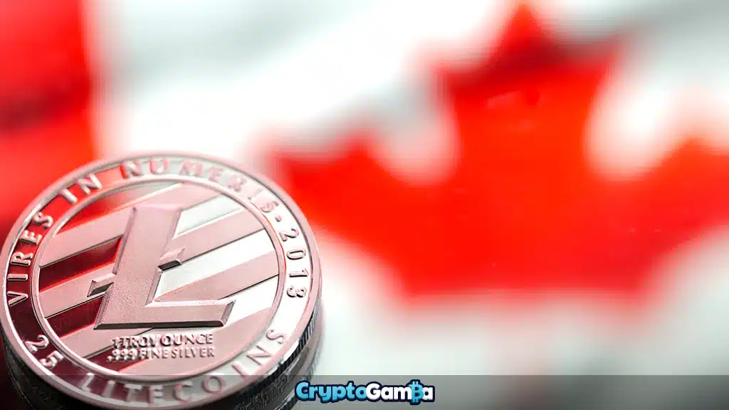 Litecoin against the background of Canada flag