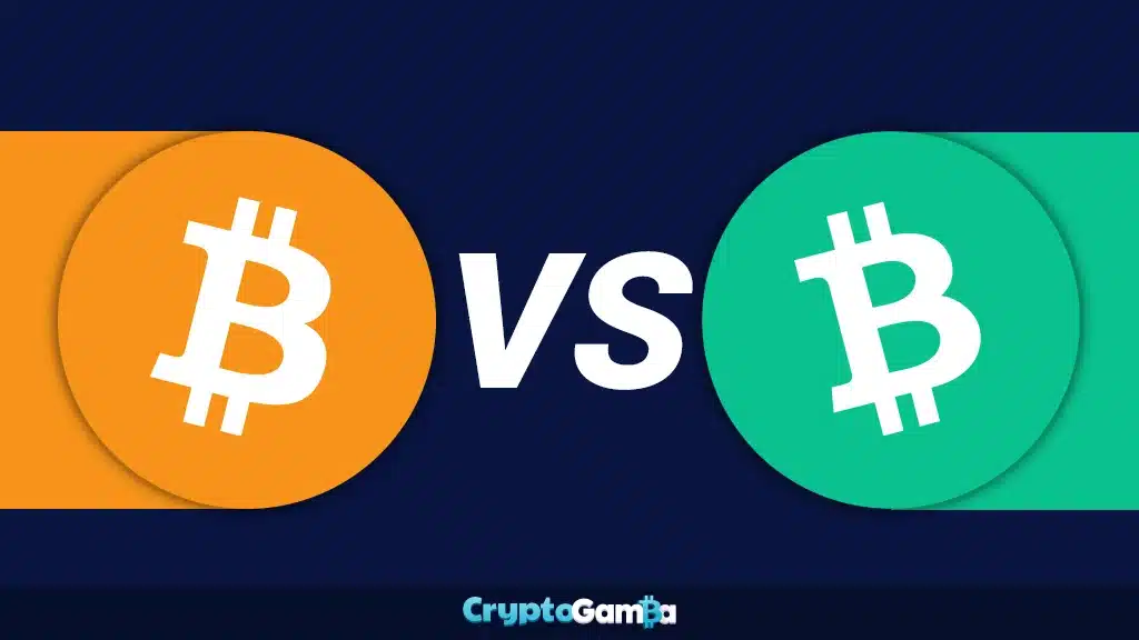 Bitcoin coin and Bitcoin Cash Coin logos