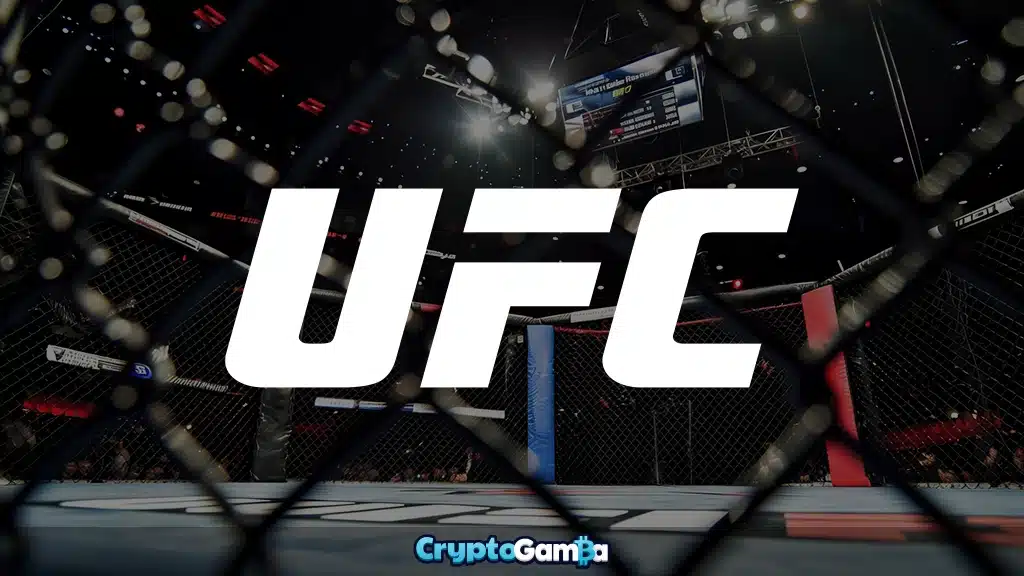 UFC 317 fight event